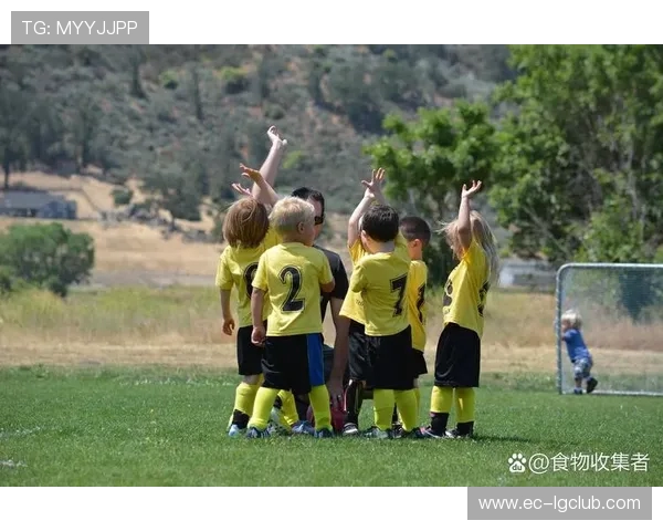 打足球不是踢足球吗这句话到底哪里不对从语言习惯看有什么区别