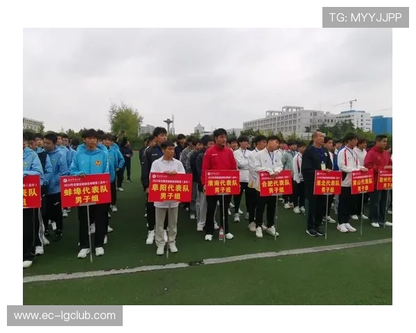 全面解析法兰西足球队历届大赛表现与辉煌历史征程全景纵览概述篇 全面解析法兰西足球队历届大赛表现与辉煌历史征程全景纵览概述篇